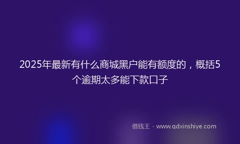 2025年最新有什么商城黑户能有额度的，概括5个逾期太多能下款口子