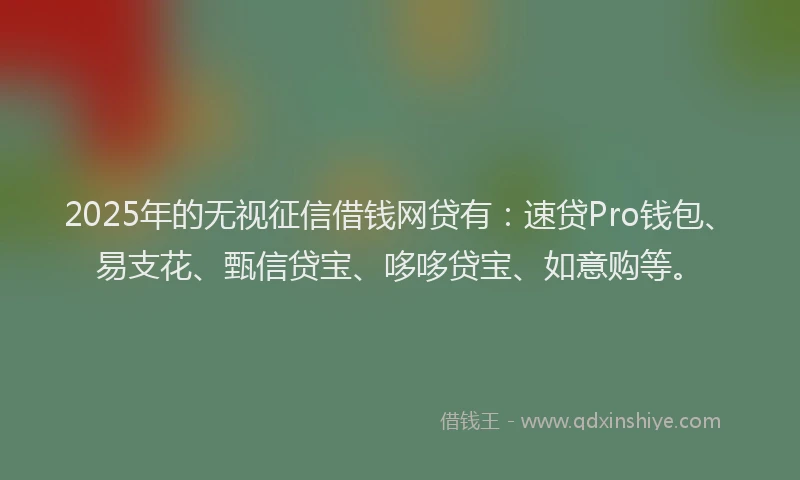 2025年的无视征信借钱网贷有：速贷Pro钱包、易支花、甄信贷宝、哆哆贷宝、如意购等。