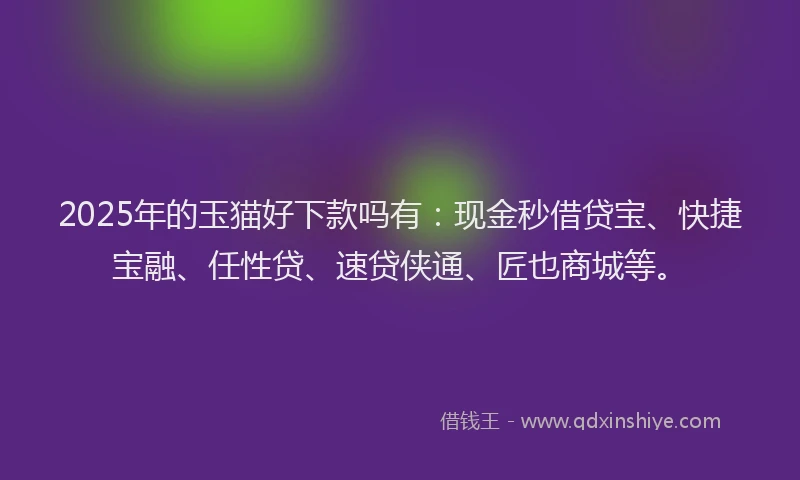 2025年的玉猫好下款吗有：现金秒借贷宝、快捷宝融、任性贷、速贷侠通、匠也商城等。