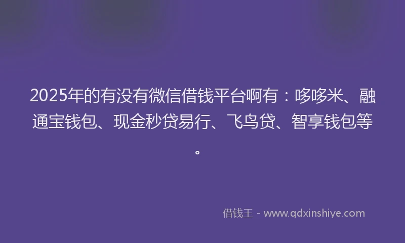 2025年的有没有微信借钱平台啊有：哆哆米、融通宝钱包、现金秒贷易行、飞鸟贷、智享钱包等。