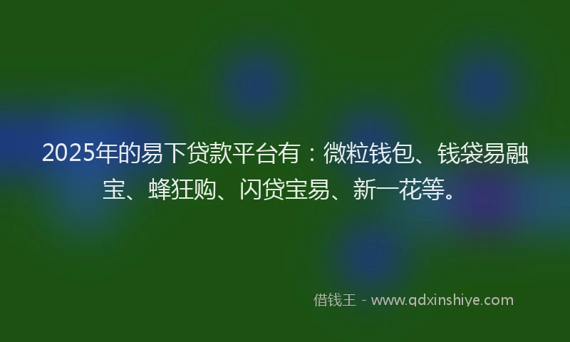 2025年的易下贷款平台有：微粒钱包、钱袋易融宝、蜂狂购、闪贷宝易、新一花等。