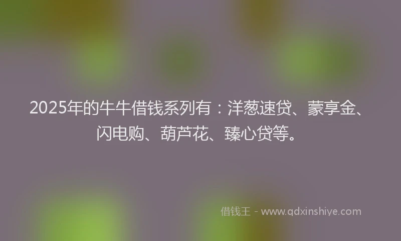 2025年的牛牛借钱系列有：洋葱速贷、蒙享金、闪电购、葫芦花、臻心贷等。