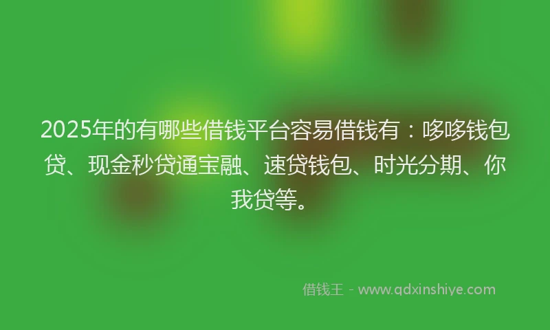 2025年的有哪些借钱平台容易借钱有：哆哆钱包贷、现金秒贷通宝融、速贷钱包、时光分期、你我贷等。