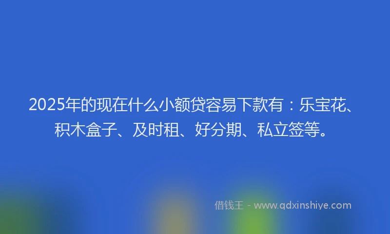 2025年的现在什么小额贷容易下款有：乐宝花、积木盒子、及时租、好分期、私立签等。