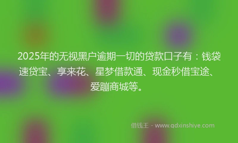 2025年的无视黑户逾期一切的贷款口子有：钱袋速贷宝、享来花、星梦借款通、现金秒借宝途、爱蹦商城等。