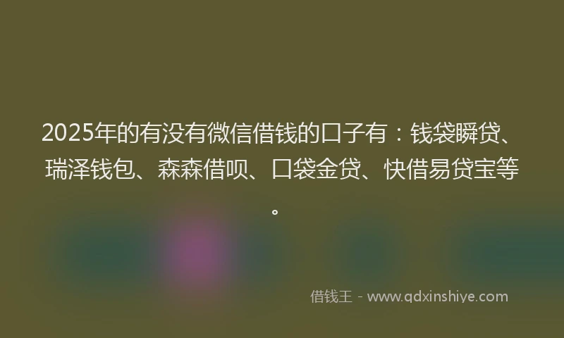 2025年的有没有微信借钱的口子有：钱袋瞬贷、瑞泽钱包、森森借呗、口袋金贷、快借易贷宝等。