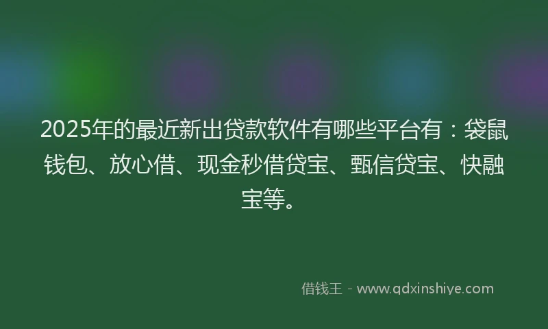 2025年的最近新出贷款软件有哪些平台有：袋鼠钱包、放心借、现金秒借贷宝、甄信贷宝、快融宝等。