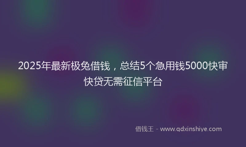 2025年最新极兔借钱，总结5个急用钱5000快审快贷无需征信平台