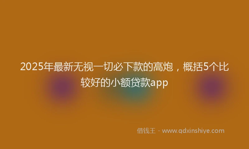 2025年最新无视一切必下款的高炮，概括5个比较好的小额贷款app