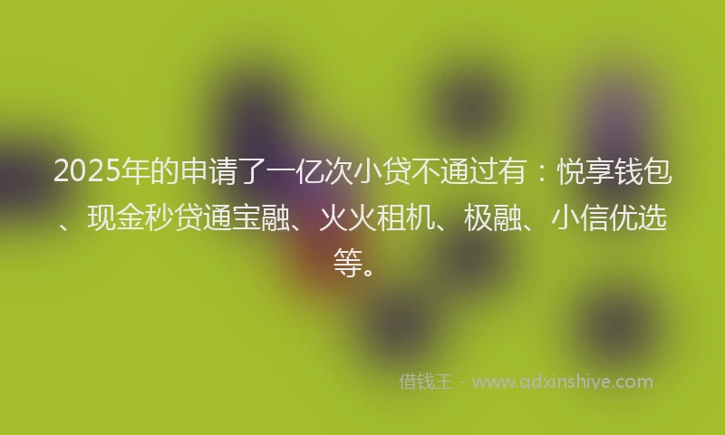 2025年的申请了一亿次小贷不通过有：悦享钱包、现金秒贷通宝融、火火租机、极融、小信优选等。