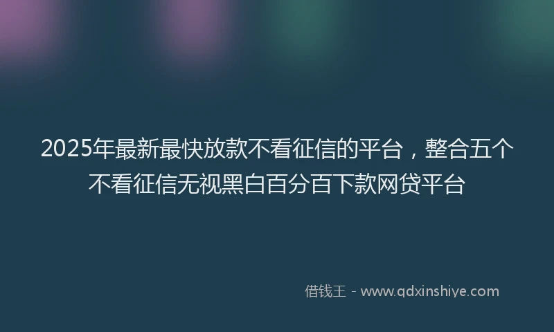 2025年最新最快放款不看征信的平台，整合五个不看征信无视黑白百分百下款网贷平台