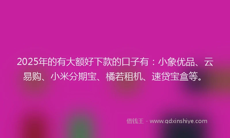 2025年的有大额好下款的口子有：小象优品、云易购、小米分期宝、橘若租机、速贷宝盒等。
