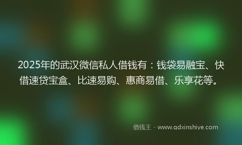 2025年的武汉微信私人借钱有：钱袋易融宝、快借速贷宝盒、比速易购、惠商易借、乐享花等。