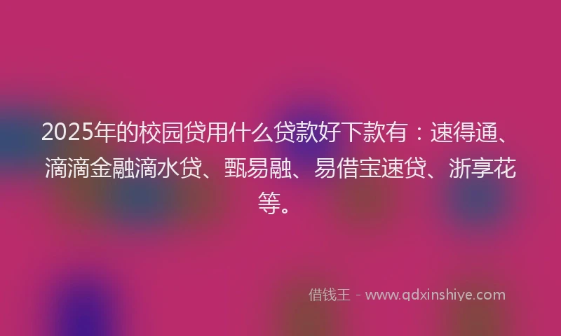 2025年的校园贷用什么贷款好下款有：速得通、滴滴金融滴水贷、甄易融、易借宝速贷、浙享花等。