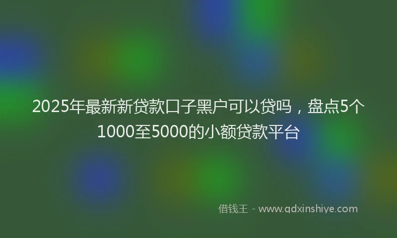 2025年最新新贷款口子黑户可以贷吗，盘点5个1000至5000的小额贷款平台