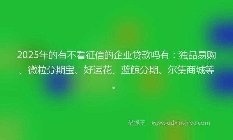 2025年的有不看征信的企业贷款吗有：独品易购、微粒分期宝、好运花、蓝鲸分期、尔集商城等。