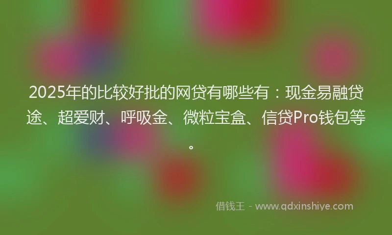2025年的比较好批的网贷有哪些有：现金易融贷途、超爱财、呼吸金、微粒宝盒、信贷Pro钱包等。