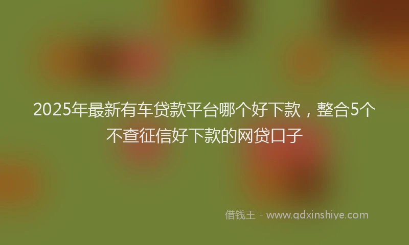 2025年最新有车贷款平台哪个好下款，整合5个不查征信好下款的网贷口子
