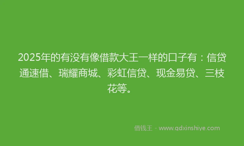 2025年的有没有像借款大王一样的口子有：信贷通速借、瑞耀商城、彩虹信贷、现金易贷、三枝花等。