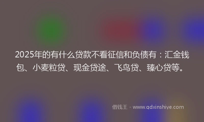 2025年的有什么贷款不看征信和负债有：汇金钱包、小麦粒贷、现金贷途、飞鸟贷、臻心贷等。
