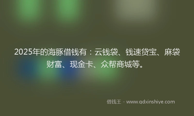 2025年的海豚借钱有：云钱袋、钱速贷宝、麻袋财富、现金卡、众帮商城等。