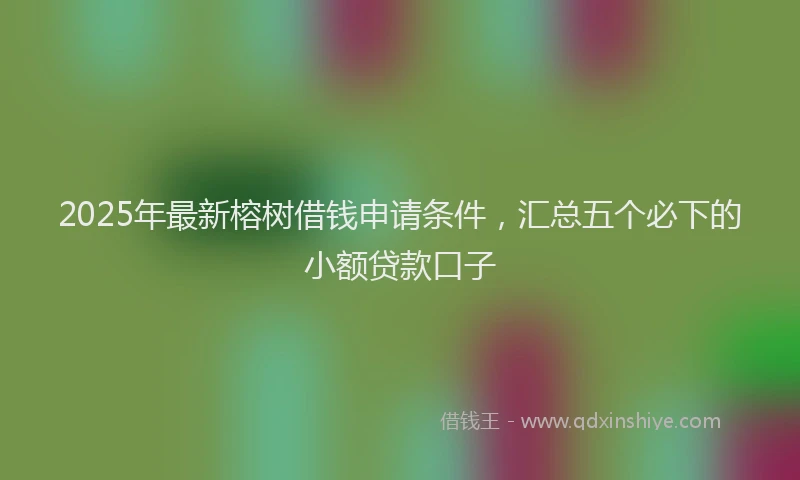 2025年最新榕树借钱申请条件，汇总五个必下的小额贷款口子