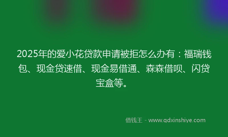 2025年的爱小花贷款申请被拒怎么办有：福瑞钱包、现金贷速借、现金易借通、森森借呗、闪贷宝盒等。