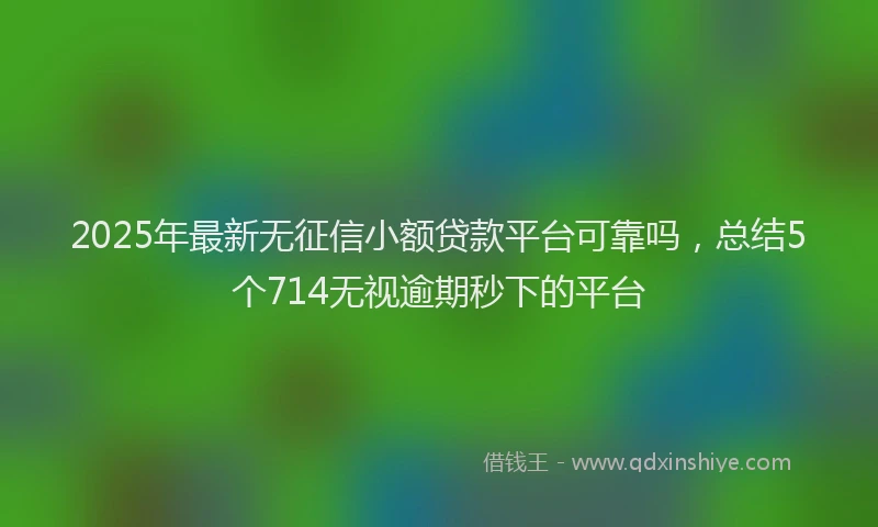 2025年最新无征信小额贷款平台可靠吗，总结5个714无视逾期秒下的平台