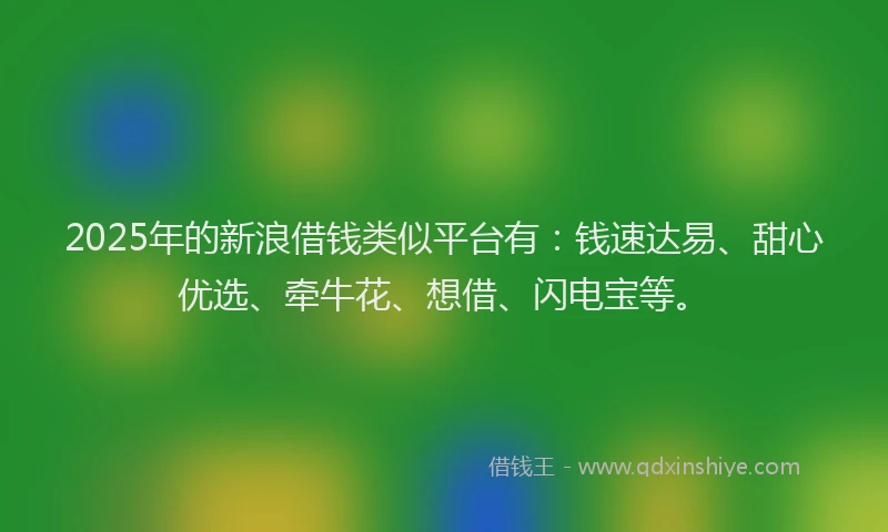 2025年的新浪借钱类似平台有：钱速达易、甜心优选、牵牛花、想借、闪电宝等。