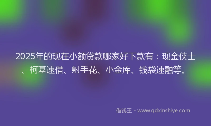 2025年的现在小额贷款哪家好下款有：现金侠士、柯基速借、射手花、小金库、钱袋速融等。