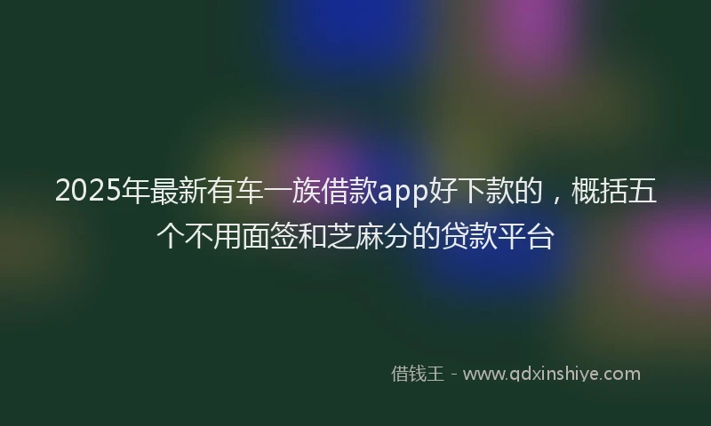 2025年最新有车一族借款app好下款的，概括五个不用面签和芝麻分的贷款平台