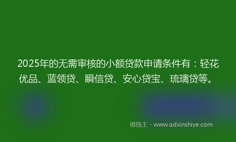 2025年的无需审核的小额贷款申请条件有：轻花优品、蓝领贷、瞬信贷、安心贷宝、琉璃贷等。