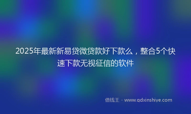 2025年最新新易贷微贷款好下款么，整合5个快速下款无视征信的软件