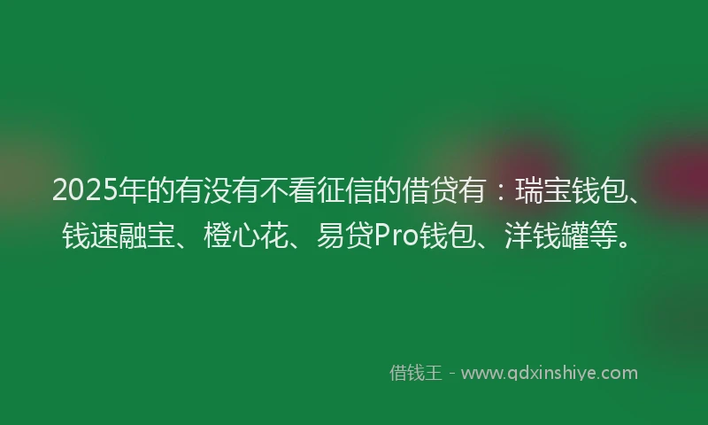 2025年的有没有不看征信的借贷有：瑞宝钱包、钱速融宝、橙心花、易贷Pro钱包、洋钱罐等。