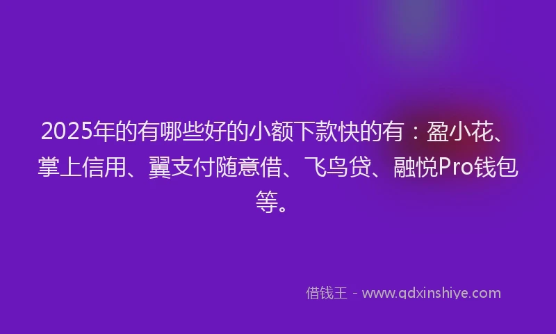 2025年的有哪些好的小额下款快的有：盈小花、掌上信用、翼支付随意借、飞鸟贷、融悦Pro钱包等。