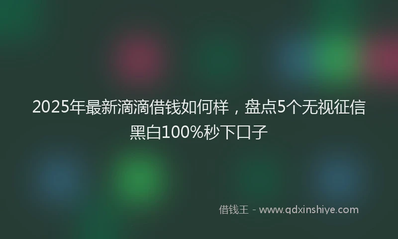 2025年最新滴滴借钱如何样，盘点5个无视征信黑白100%秒下口子