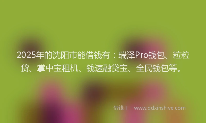 2025年的沈阳市能借钱有：瑞泽Pro钱包、粒粒贷、掌中宝租机、钱速融贷宝、全民钱包等。