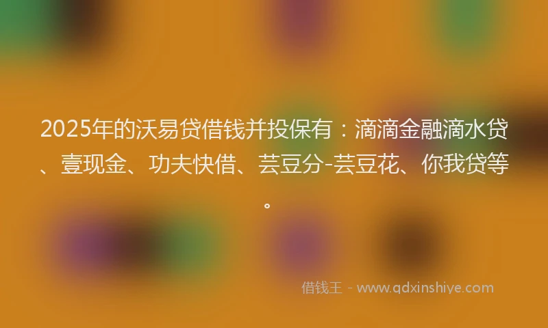 2025年的沃易贷借钱并投保有：滴滴金融滴水贷、壹现金、功夫快借、芸豆分-芸豆花、你我贷等。