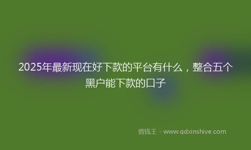 2025年最新现在好下款的平台有什么，整合五个黑户能下款的口子
