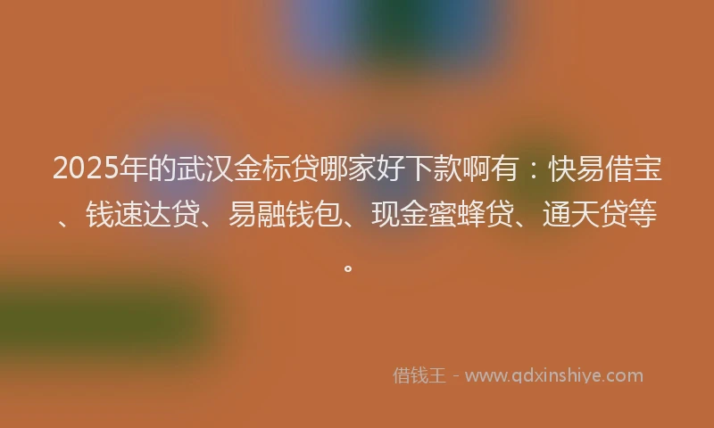 2025年的武汉金标贷哪家好下款啊有：快易借宝、钱速达贷、易融钱包、现金蜜蜂贷、通天贷等。