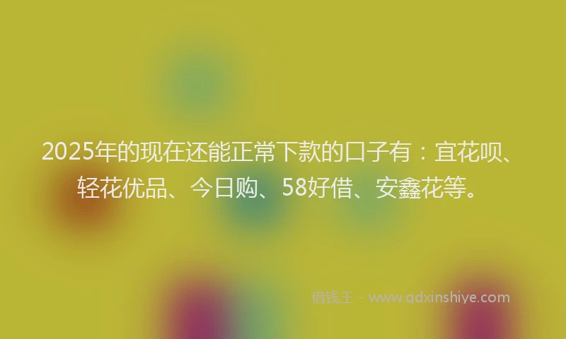 2025年的现在还能正常下款的口子有：宜花呗、轻花优品、今日购、58好借、安鑫花等。