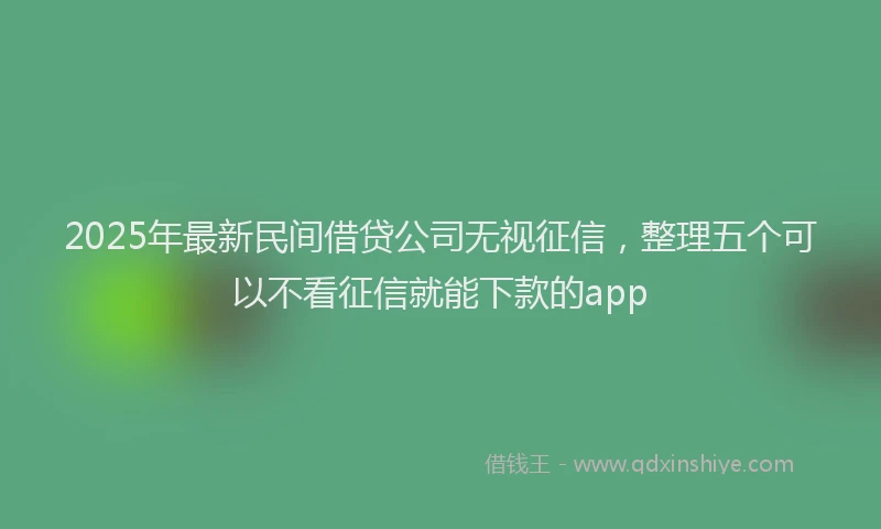 2025年最新民间借贷公司无视征信，整理五个可以不看征信就能下款的app