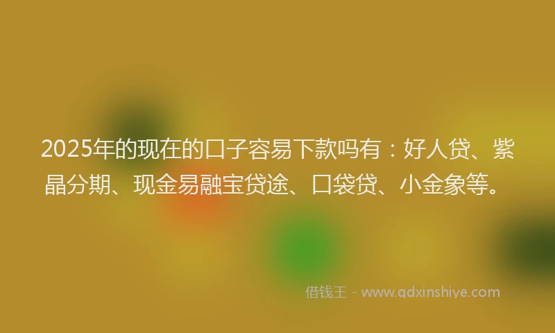 2025年的现在的口子容易下款吗有：好人贷、紫晶分期、现金易融宝贷途、口袋贷、小金象等。