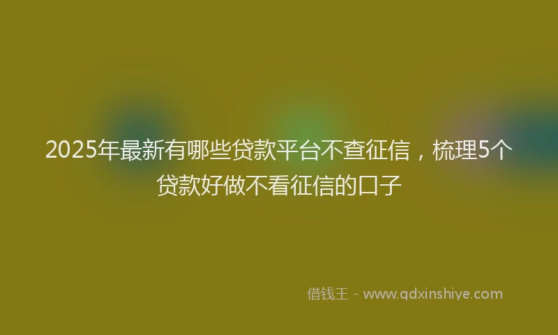 2025年最新有哪些贷款平台不查征信，梳理5个贷款好做不看征信的口子