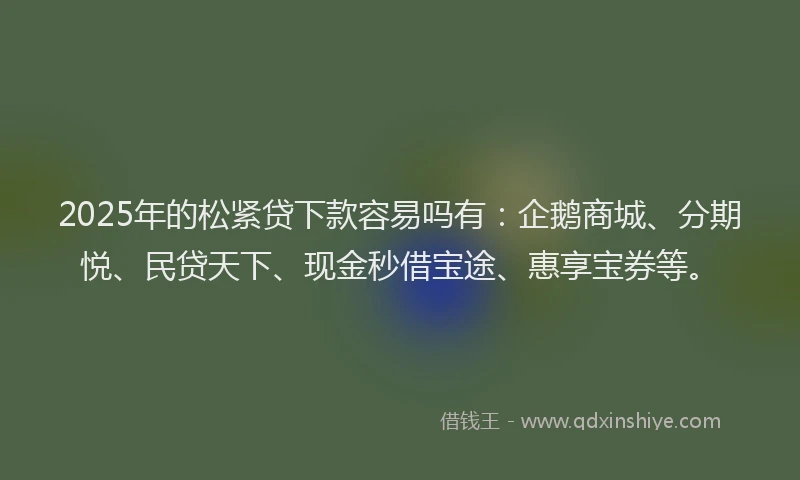 2025年的松紧贷下款容易吗有：企鹅商城、分期悦、民贷天下、现金秒借宝途、惠享宝券等。