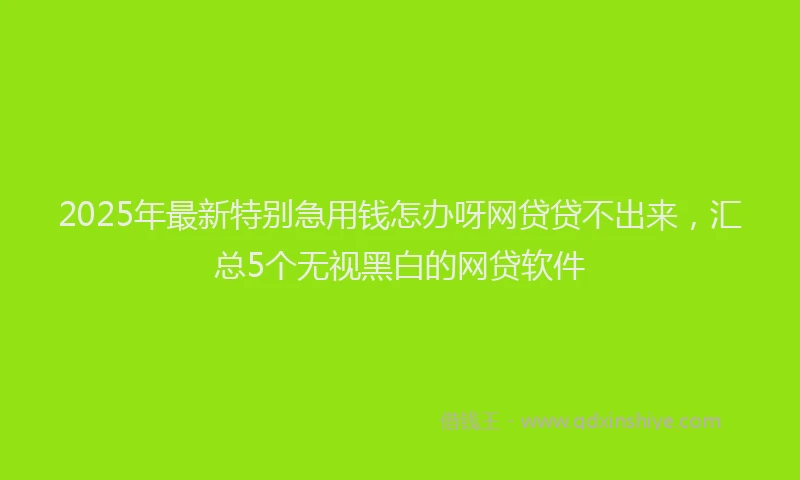 2025年最新特别急用钱怎办呀网贷贷不出来，汇总5个无视黑白的网贷软件