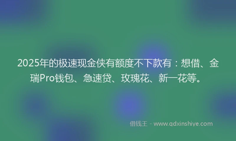 2025年的极速现金侠有额度不下款有：想借、金瑞Pro钱包、急速贷、玫瑰花、新一花等。