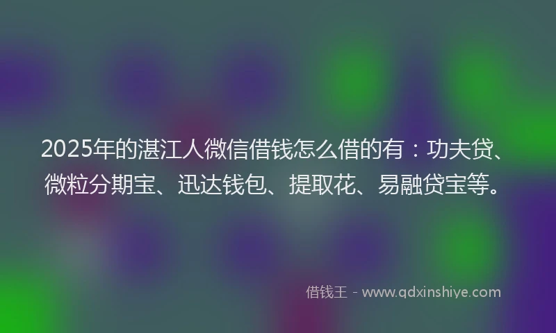 2025年的湛江人微信借钱怎么借的有：功夫贷、微粒分期宝、迅达钱包、提取花、易融贷宝等。