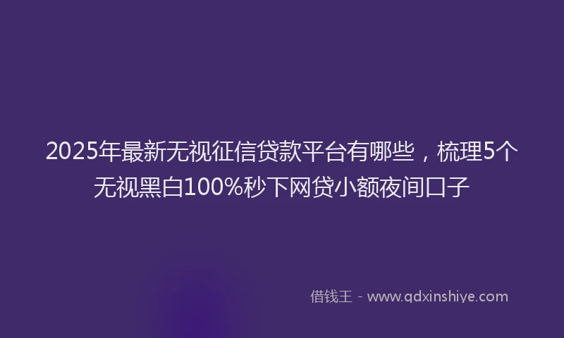 2025年最新无视征信贷款平台有哪些，梳理5个无视黑白100%秒下网贷小额夜间口子