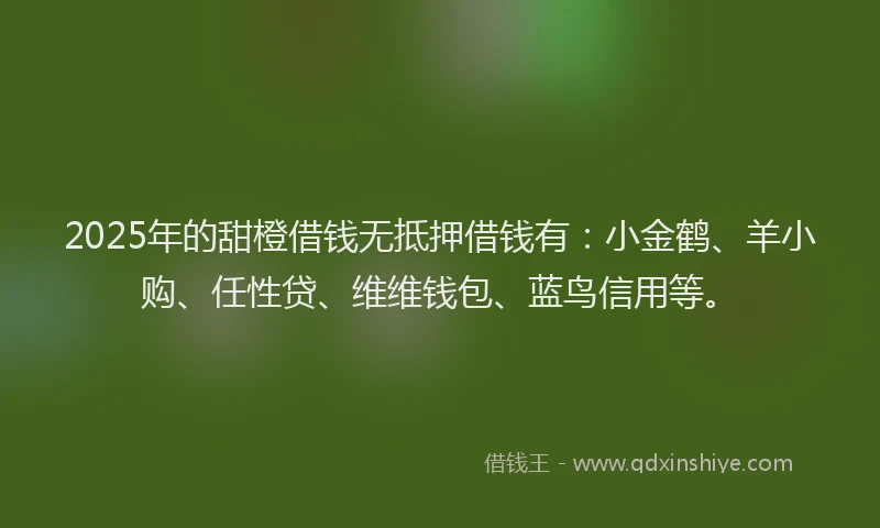 2025年的甜橙借钱无抵押借钱有：小金鹤、羊小购、任性贷、维维钱包、蓝鸟信用等。